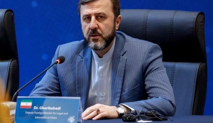غریب‌آبادی: کاهش سطح آب، مهم‌ترین معضل زیست‌محیطی دریای خزر است
