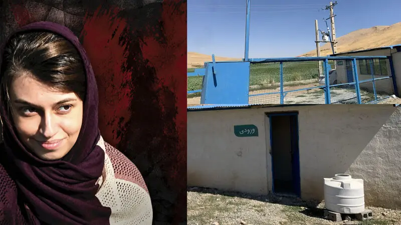 نیلوفر