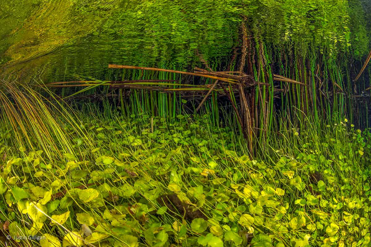 عکاسی طبیعت استرالیا