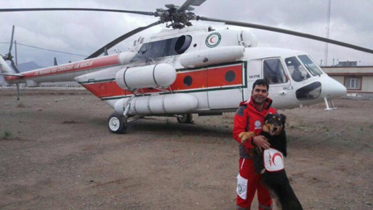 سگ زنده یاب