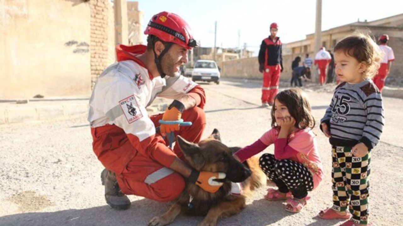 سگ زنده یاب