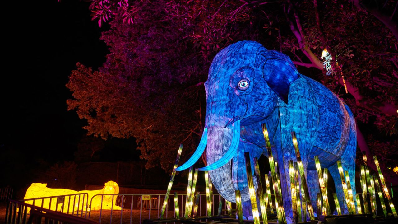 مجسمه های درخشان