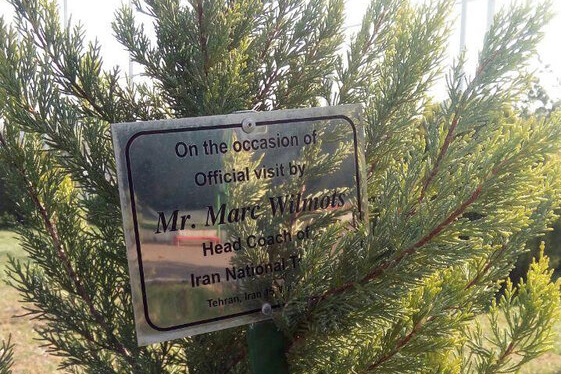 مارک ویلموتس