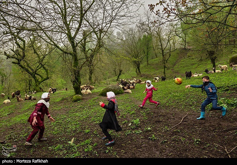 مدرسه جنگلی