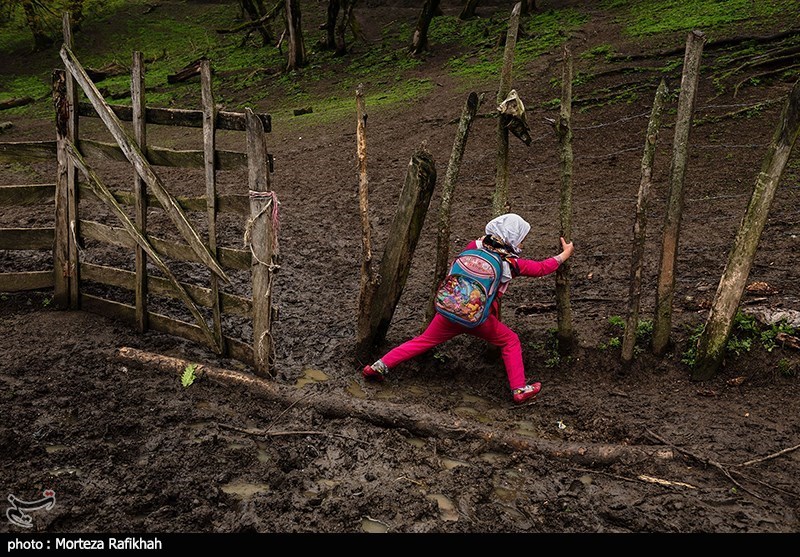 مدرسه جنگلی