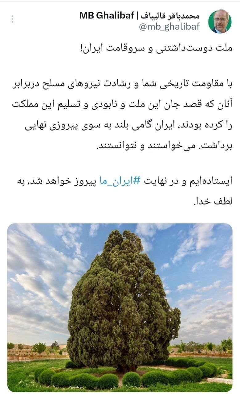 قالیباف 3