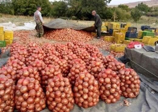 شروع بارندگی‌ها دلیل کمبود پیاز است/ سرما پرتقال را گران کرد
