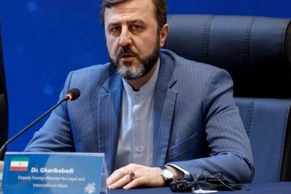 غریب‌آبادی: کاهش سطح آب، مهم‌ترین معضل زیست‌محیطی دریای خزر است 