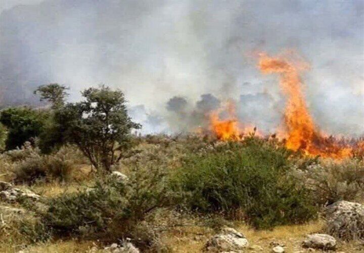 مهار آتش سوزی در سواحل پارک‌ملی دریاچه ارومیه