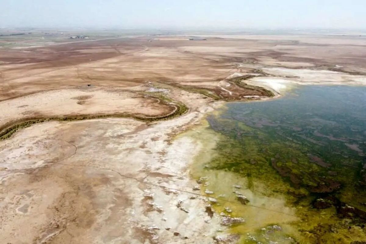 خشک شدن ۵۸ درصد از مساحت تالاب شادگان؛ فقط ۵۰ درصد حق‌آبه به این تالاب اختصاص داده شده!