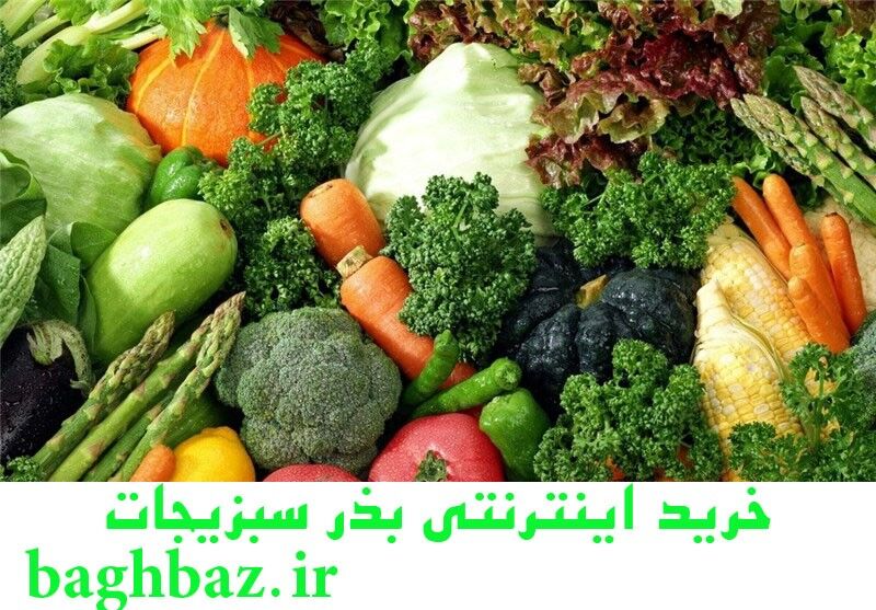 چگونه بذر سبزیجات را بکاریم؟