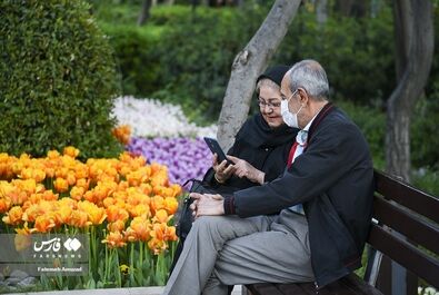 گل - باغ ایرانی