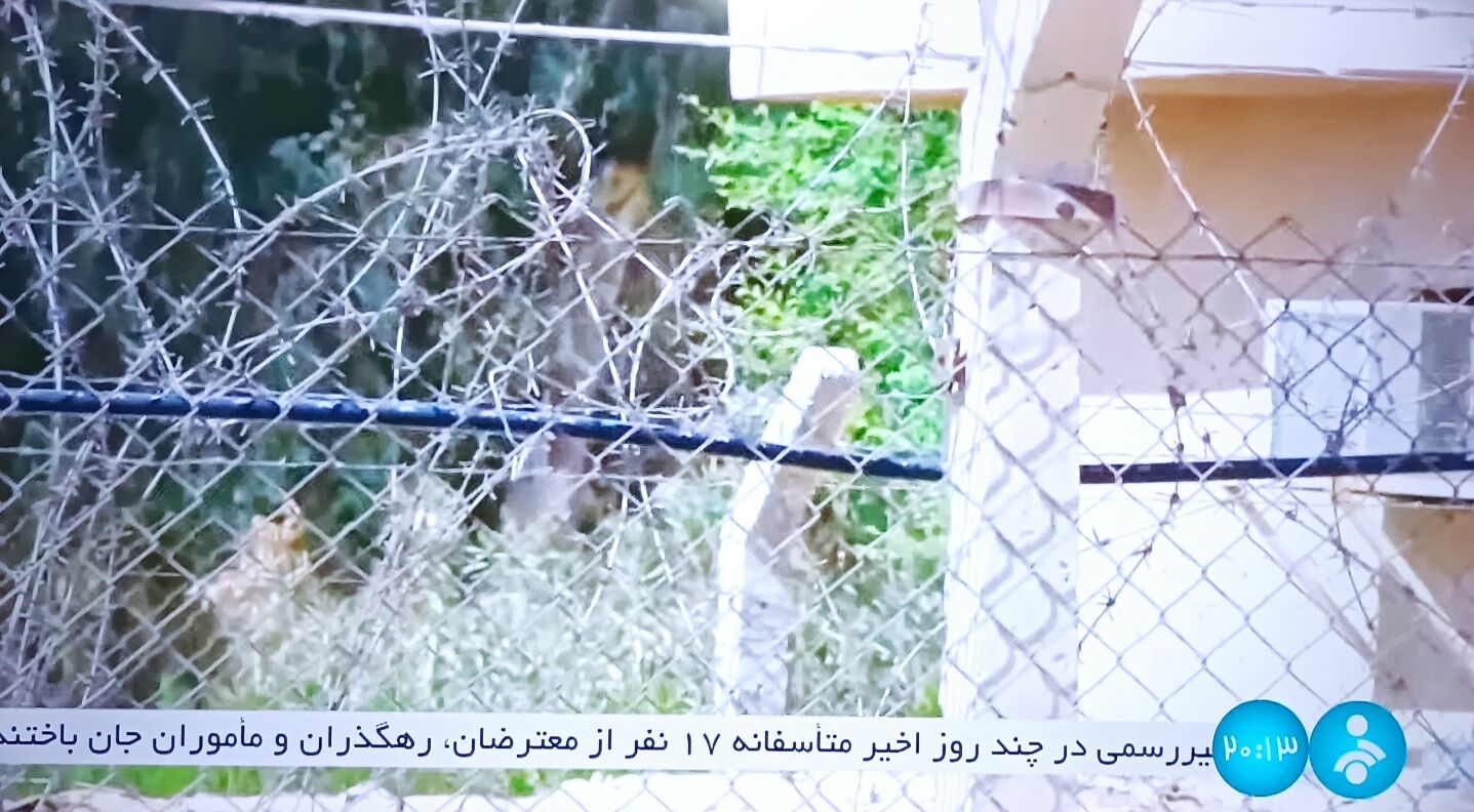 صدا و سیما تعداد کشته‌شدگان اعتراضات اخیر را اعلام کرد