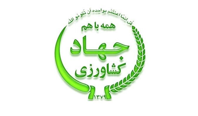 جهاد کشاورزی زنجان به‌دنبال استفاده از پهپاد برای سم‌پاشی مزارع است