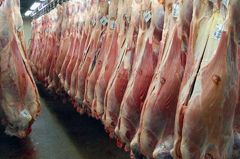 قیمت گوشت قرمز امروز شنبه ۲۳ خرداد ۱۴۰۵ 
