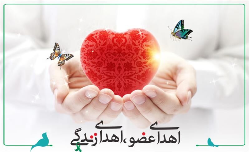 دختر ۷ ساله مرگ مغزی، نجات‌بخش ۲ بیمار نیازمند عضو شد