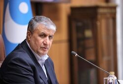 رئیس سازمان انرژی اتمی: تلاش مذبوحانه آمریکا برای جلوگیری از حضور من در نشست آژانس، نتیجه شگفت‌آوری داشت، [زیرا] ایران به عضویت کمیته کنفرانس عمومی آژانس درآمد