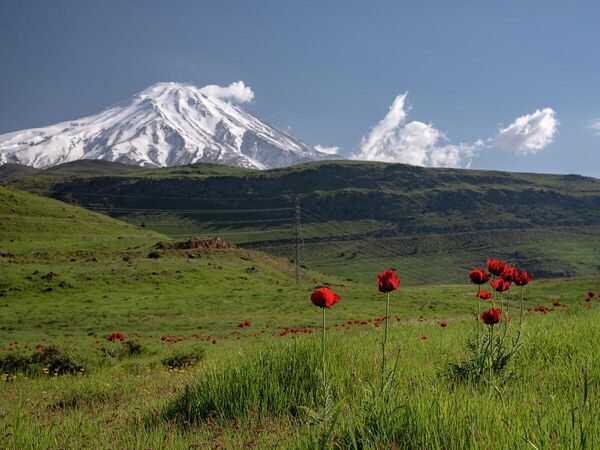 ببینید| دماوند زیبا و عظیم از بالای ابرها