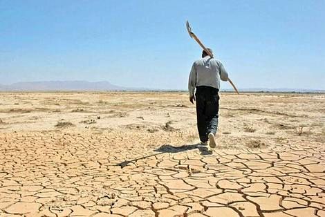 هشدار درباره امنیت غذایی؛ هر دو دقیقه یک کشاورز شغلش را رها می‌کند