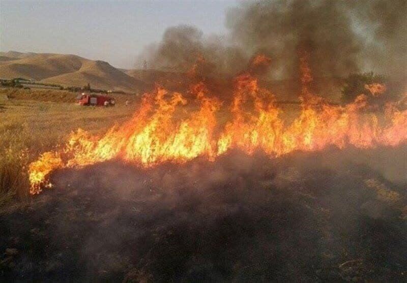 حریق در جنگل های قلارنگ ایلام