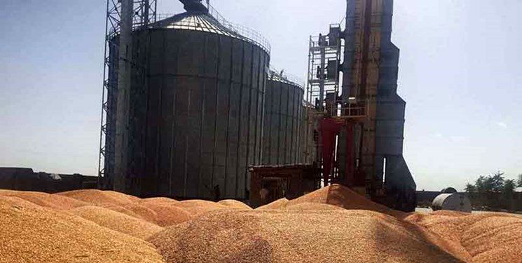 توافق فرانسه و رومانی برای حمل زمینی غلات از اوکراین