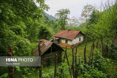 طبیعت بهاری «سیاهکل»