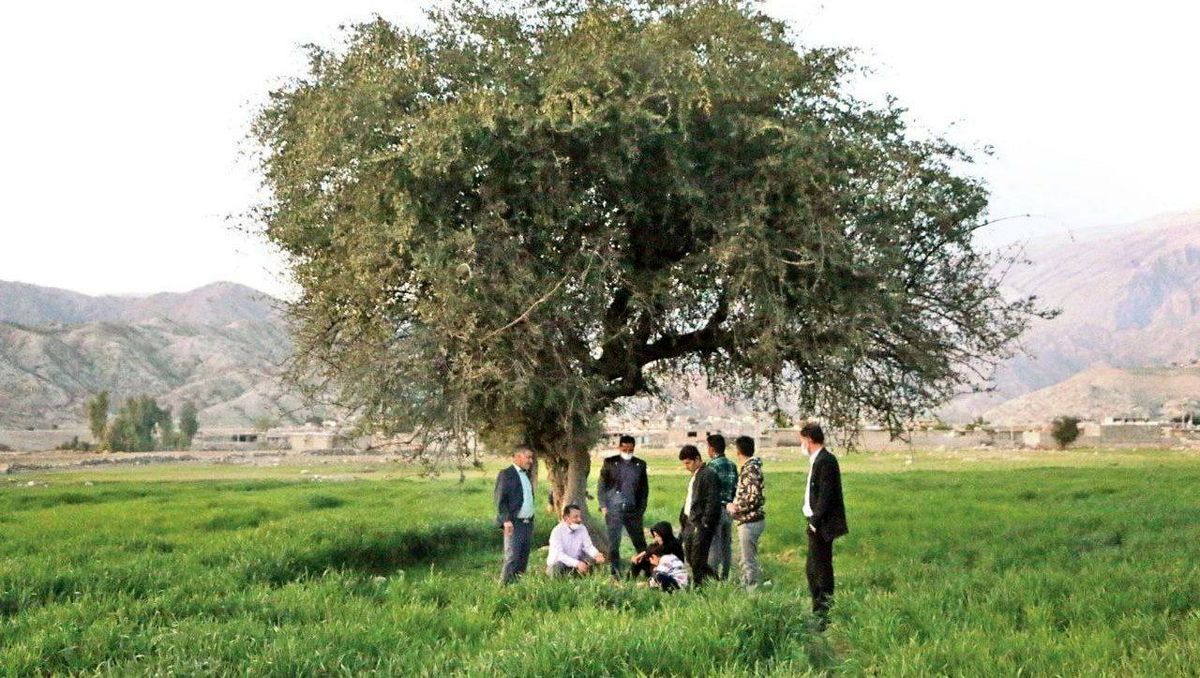 بورس آتش به جان این روستا انداخت؛ در مال‌ملا همه مُردند!
