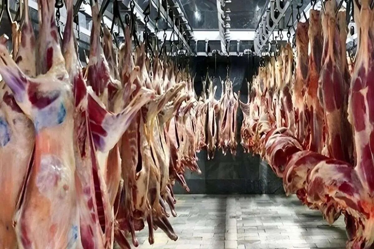 حذف ارز ترجیحی چه بلایی بر سر قیمت گوشت آورد؟ 