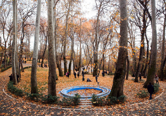 گالری
