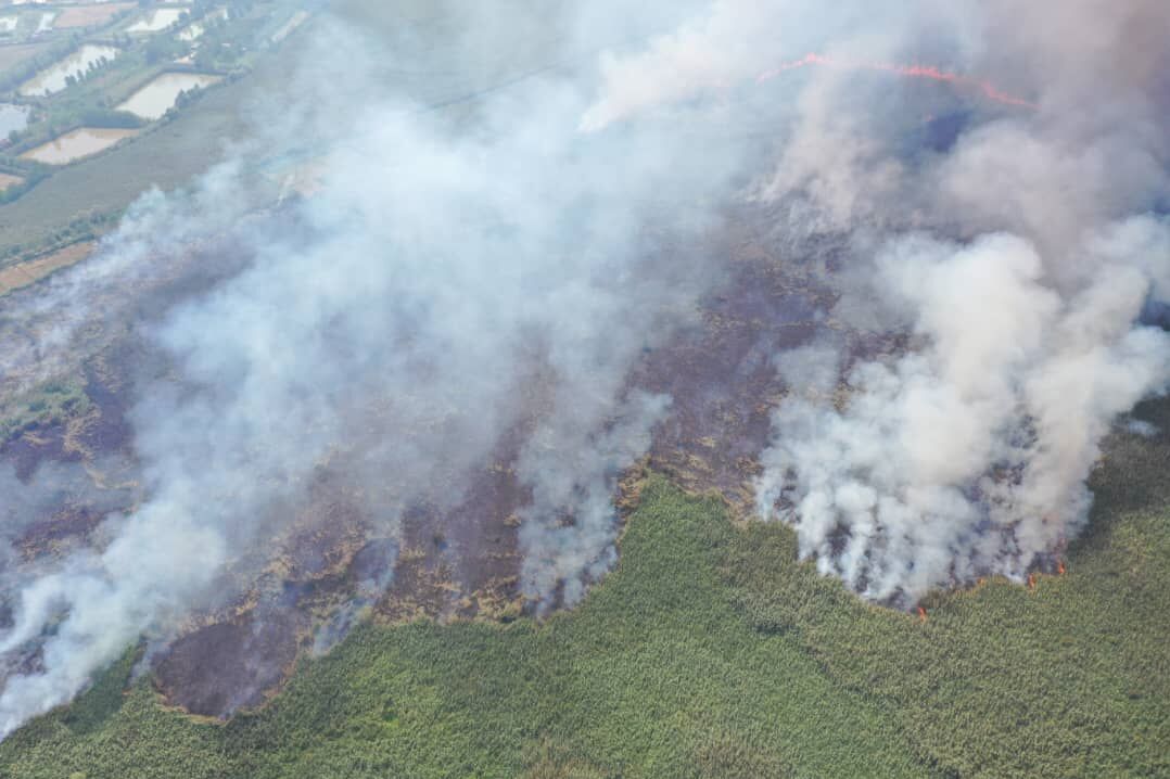 آتش در دل تالاب‌های ایران؛ پنجمین آتش‌سوزی عمدی تالاب توسط سودجویان