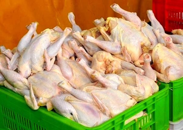 قیمت مرغ امروز چهار‌شنبه ۲۸ مرداد ۱۴۰۵