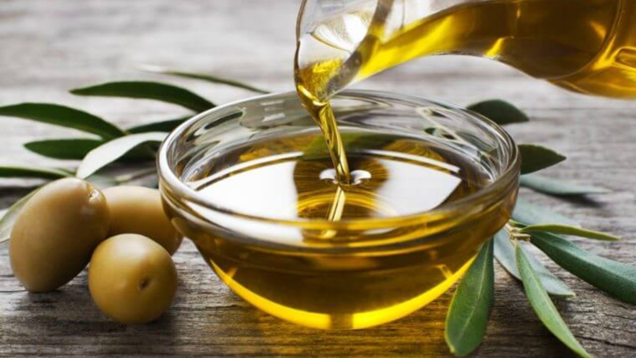تولید 90 هزارتن زیتون در سال جاری/ واردات زیتون کنسروی لازم نیست