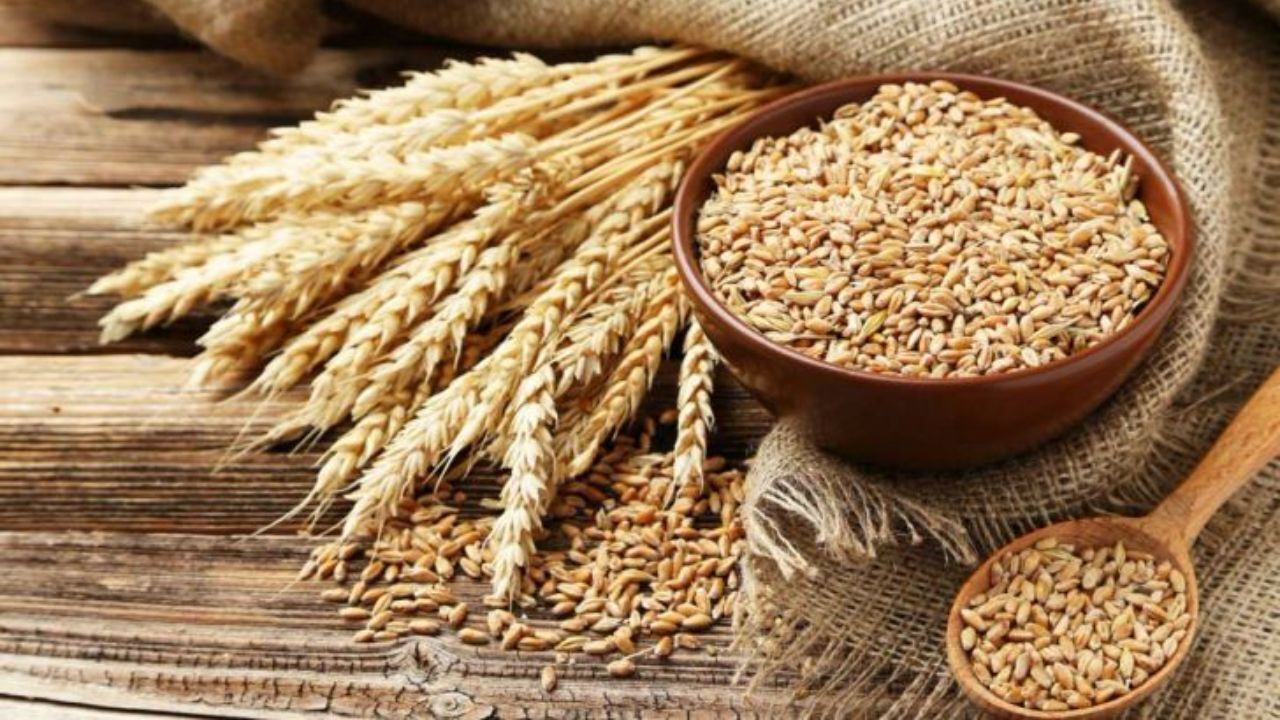 دلال‌ها دسترنج کشاورزان را به کشورهای همسایه قاچاق می‌کنند/ کشاورز صدقه بگیر دولت نیست/ فقط به خاطر حفظ کشور اعتراض‌مان را به کف خیابان نمی‌آوریم