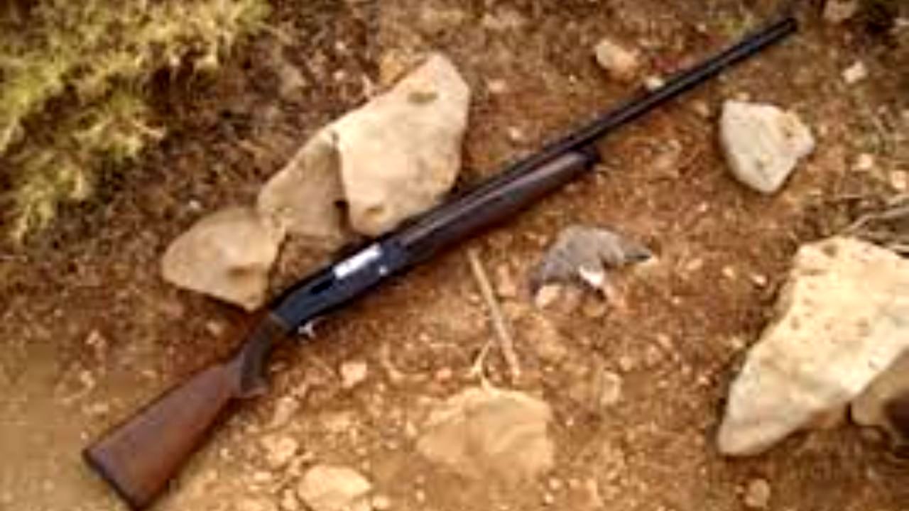 شکارچی که خودش شکار شد