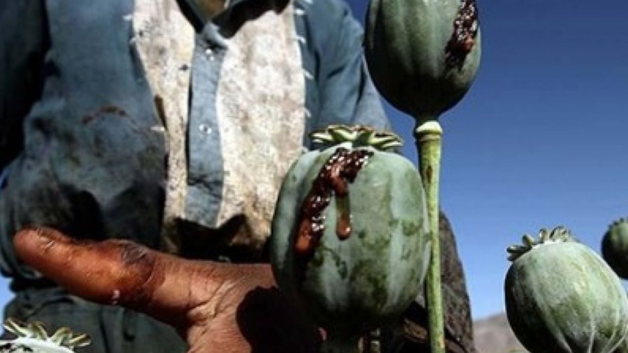 80 هزار میلیارد تومان سود تجارت مواد مخدر در ایران