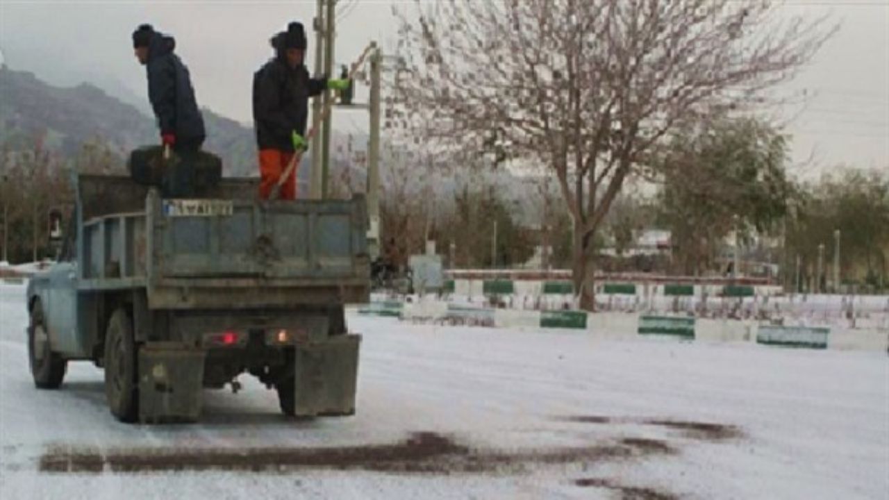 استفاده از نمک در برف روبی به درختان آسیب می‌زند