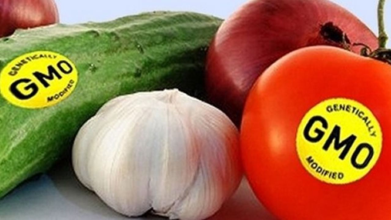 الزام به برچسب گذاری محصولات تراریخته
