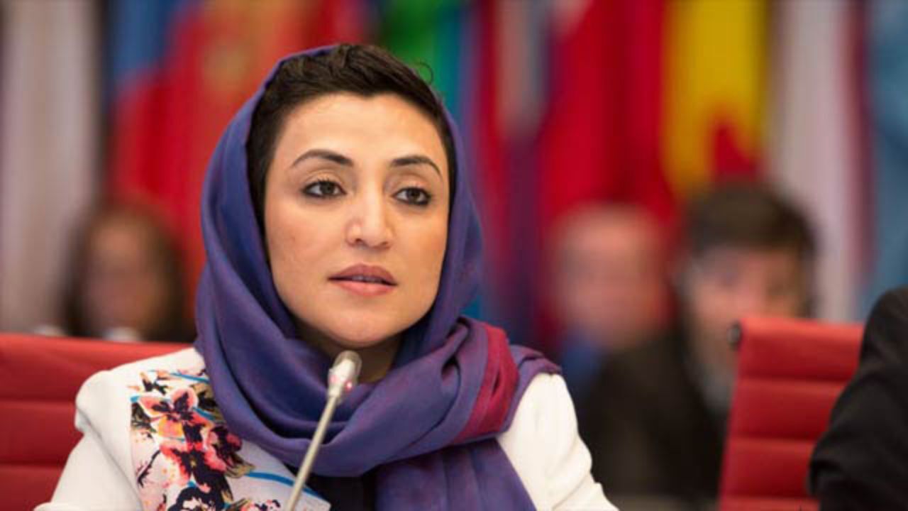 نماینده جدید افغانستان در سازمان ملل منصوب شد