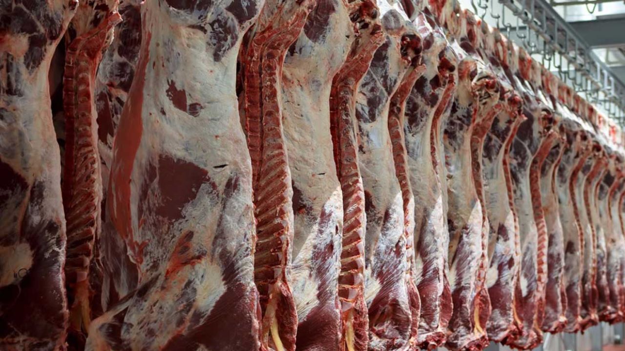 توزیع نامناسب گوشت‌های دولتی در ایلام