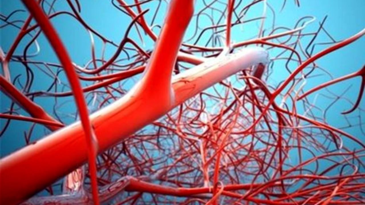 کم‌خوابی چه آسیبی به عروق می‌زند؟