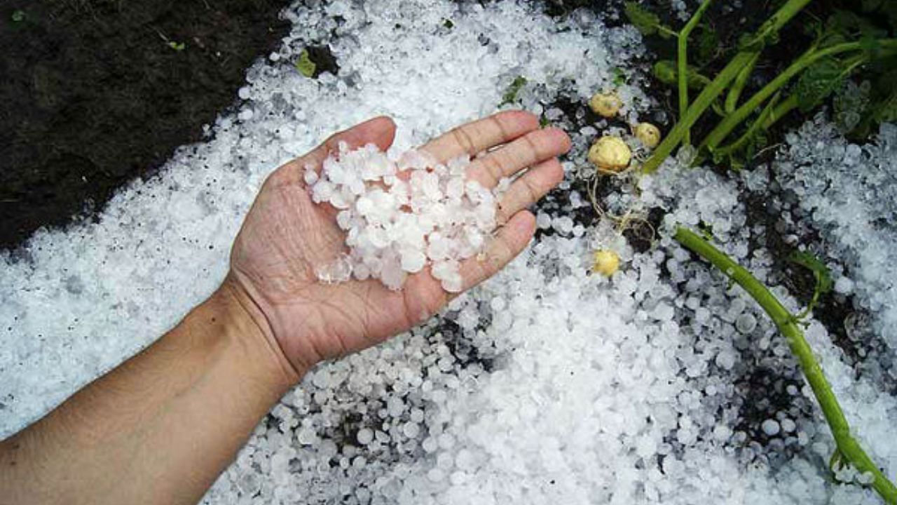 طوفان تهران هیچ خسارتی درپی نداشت