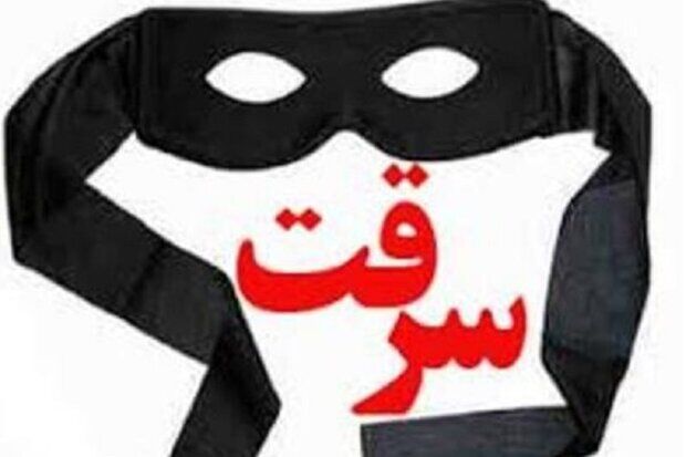 افزایش هفت درصدی سرقت در سه ماه گذشته پایتخت/ باید فکری جدی کرد