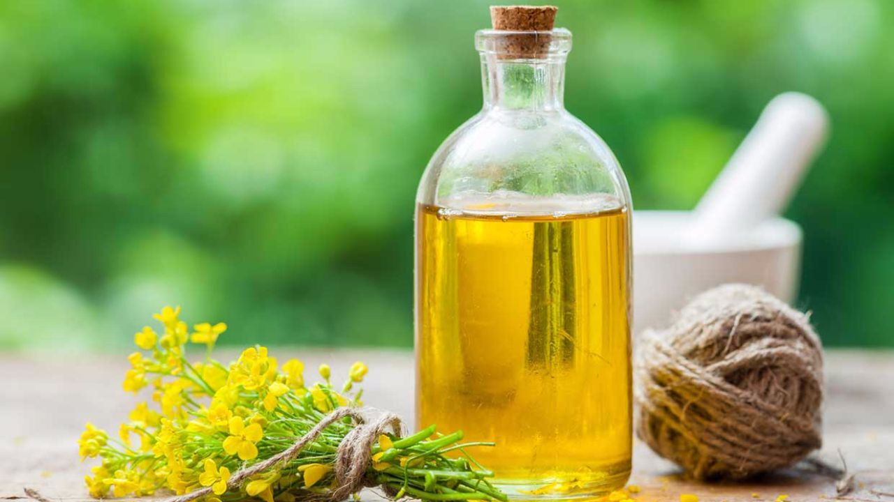کاهش چربی دور شکمی با روغن کانولا
