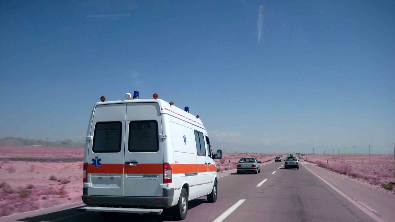 افزایش شمار مسموم‌شدگان با قارچ در استان‌های غربی