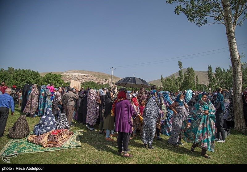 جشنواره گل محمدی در تبریز