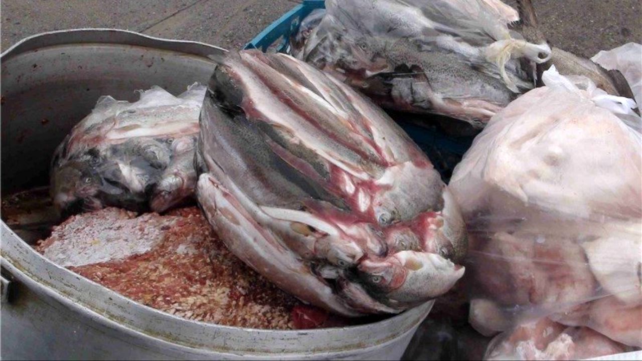 قطع برق چه بر سر بازار کرمانشاه می‌آورد؟