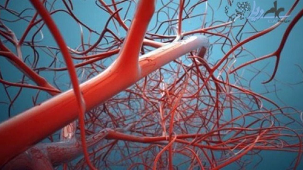 استفاده از بیومواد فلزی برای درمان و التیام بافت موجودات زنده 