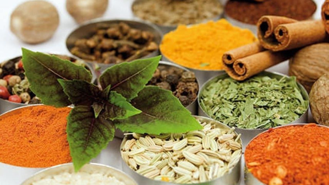 رشد قارچ گونه کانال‌های نامعتبر طب سنتی