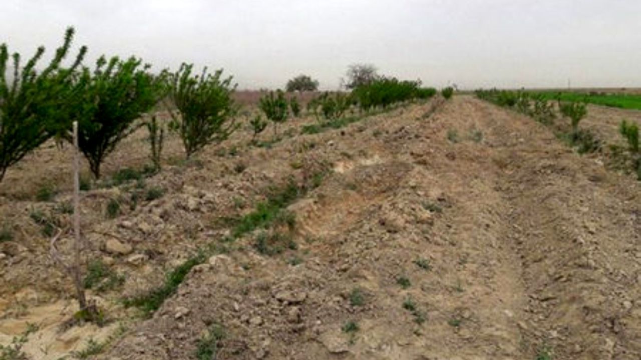 13 شهرستان در معرض بیابانی شدن قرار دارند