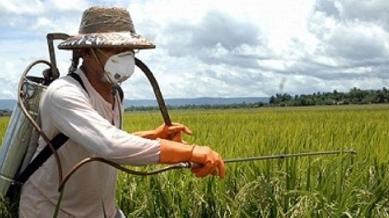 سموم مشمول ارز اولویت یک کالایی، فاقد مشابه داخلی است